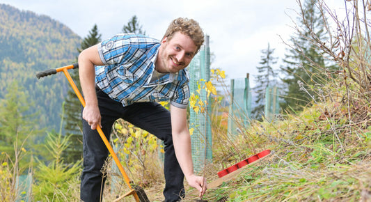 BKS Bank unterstützt KlimaSchutzWald Projekt - 10.000 Bäume für Schutzwald in Mallnitz