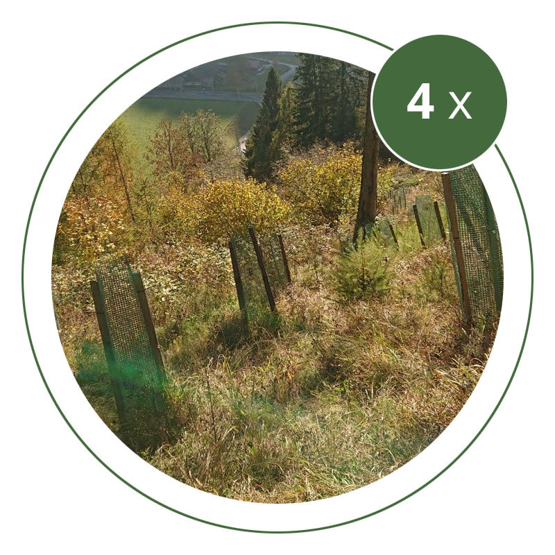 Klimaschutz Familienpakete (4 Bäume)